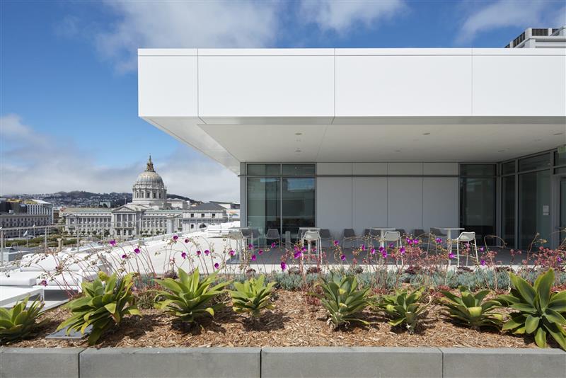 Rooftop terrace with landscaped planters, outdoor seating, and views of San Francisco City Hall in the background. The terrace is framed by a modern white building façade under a partly cloudy sky.